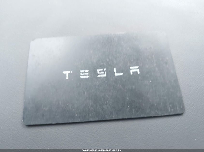 2025 Tesla Model 3 VIN: 5YJ3E1EB1SF961953 Lot: 42986563