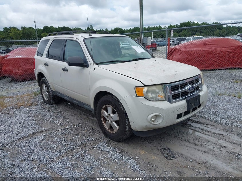 1FMCU9D70BKB34295 2011 Ford Escape Xlt auction photo 1