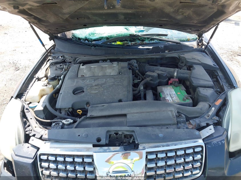 2006 Nissan Maxima 3.5 Sl VIN: 1N4BA41E56C826492 Lot: 42995338