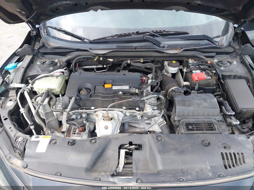 2019 Honda Civic Lx VIN: 2HGFC2F6XKH549519 Lot: 42996566