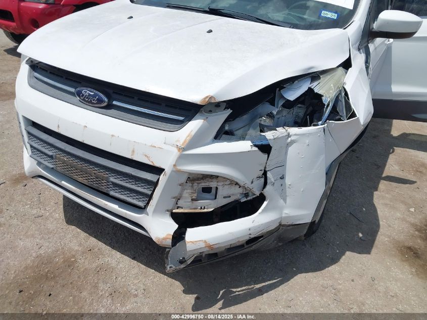 2014 Ford Escape Se VIN: 1FMCU0GX4EUD17571 Lot: 42996750