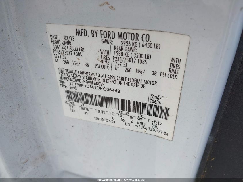 2013 Ford F-150 Xl VIN: 1FTMF1CM1DFC06449 Lot: 43000863