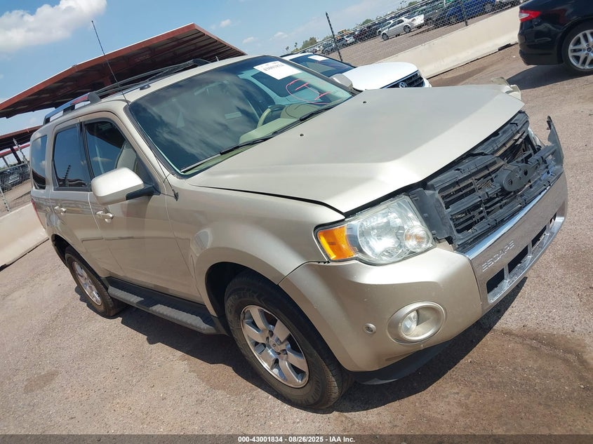 Vin: 1fmcu9eg1bkc63855, lot: 43495900, ford escape limited 2011 img_1
