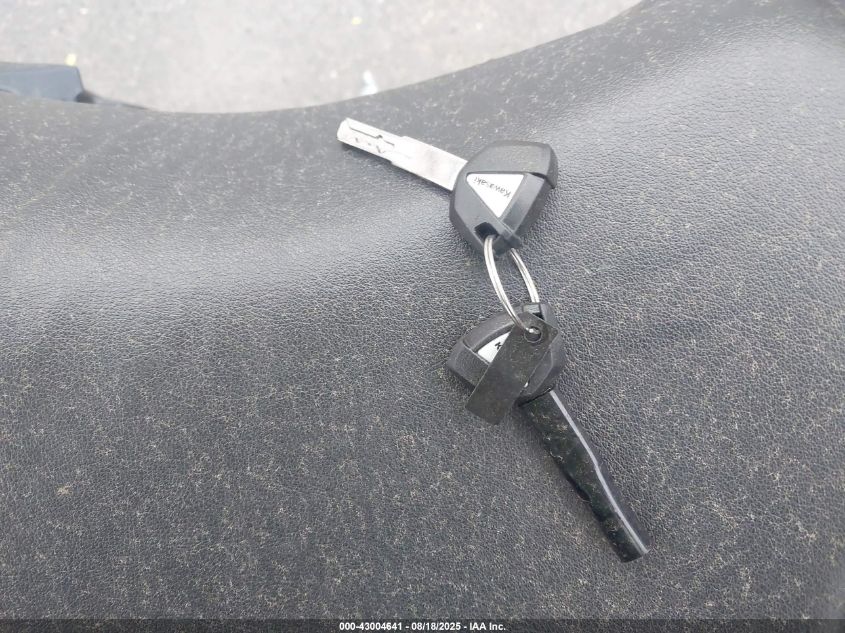 2025 Kawasaki Ex500 VIN: ML5EXGG10SDA42699 Lot: 43004641