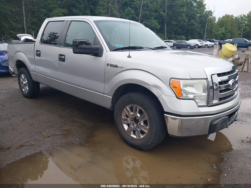 1FTRW12819FA37583 2009 Ford F-150 Xl/Xlt auction photo 1
