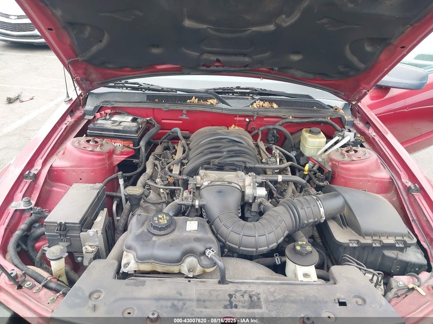 2006 Ford Mustang Gt VIN: 1ZVHT82H065161288 Lot: 43007620