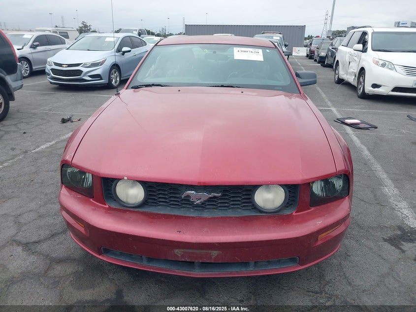 2006 Ford Mustang Gt VIN: 1ZVHT82H065161288 Lot: 43007620