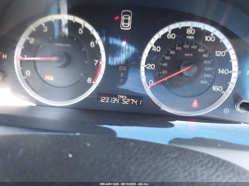 2009 Honda Accord Sdn VIN: 1HGCP36899A017900 Lot: 43011425