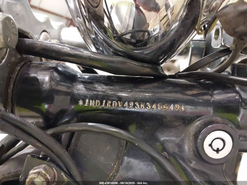 2003 Harley-Davidson Fxdl Anniversary VIN: 1HD1GDV423K340549 Lot: 43016306