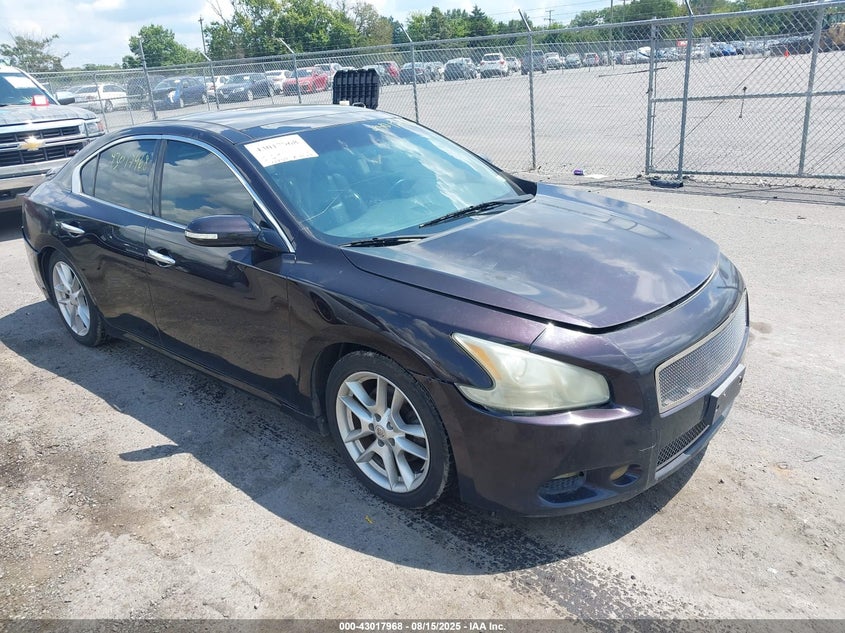 1N4AA5AP1BC837843 2011 Nissan Maxima 3.5 Sv auction photo 1
