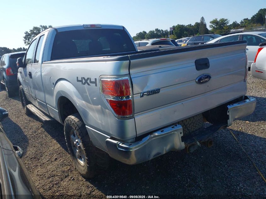 2013 Ford F-150 Xlt VIN: 1FTFX1ET5DKF81374 Lot: 43019540