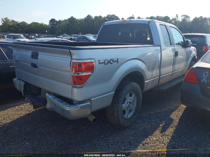2013 Ford F-150 Xlt VIN: 1FTFX1ET5DKF81374 Lot: 43019540