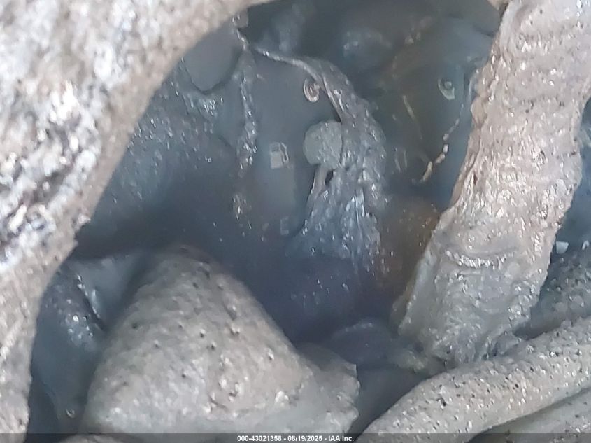 2000 Toyota Camry Solara Se VIN: 2T1CG22P5YC360431 Lot: 43021358