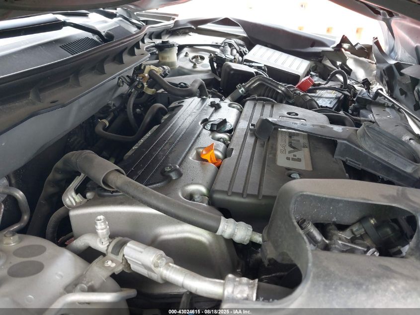 2009 Honda Accord 2.4 Lx VIN: JHMCP26379C006202 Lot: 43024615