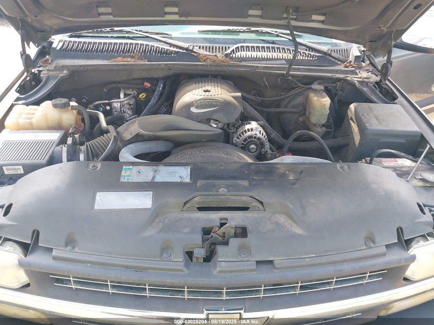 2002 Chevrolet Silverado 1500 Ls VIN: 1GCEC19T82Z124189 Lot: 43025204