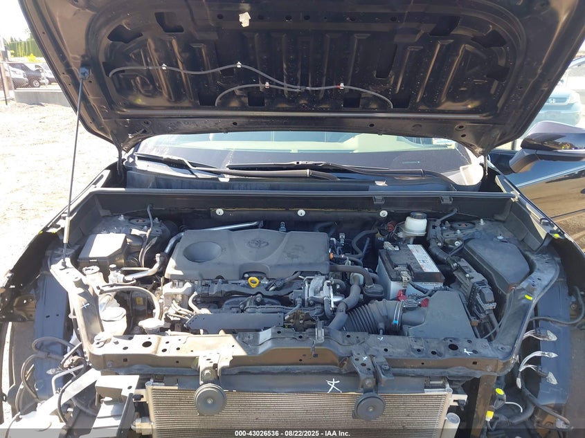 2019 TOYOTA RAV4 LIMITED - JTMN1RFV0KD520401