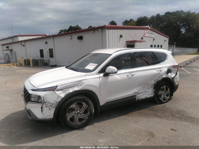 2023 Hyundai Santa Fe Sel VIN: 5NMS24AJ3PH566617 Lot: 43028139