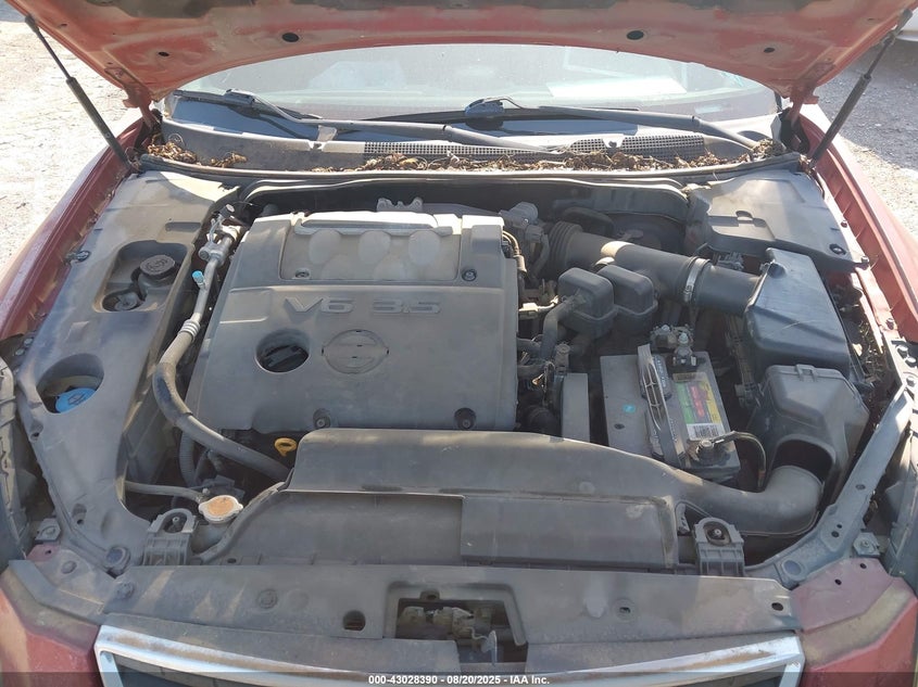 2007 Nissan Maxima 3.5 Se VIN: 1N4BA41E77C843991 Lot: 43028390