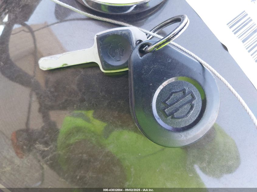 2020 Harley-Davidson Fxbb VIN: 1HD1YJJ28LB041700 Lot: 43032884