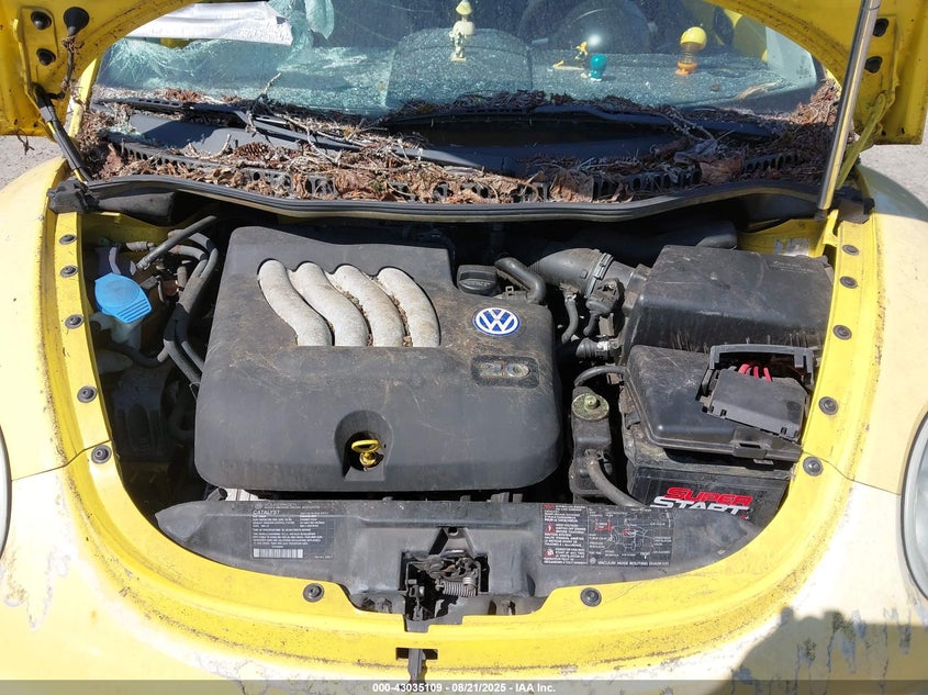 2002 Volkswagen New Beetle Gl VIN: 3VWBK21C62M428272 Lot: 43035109