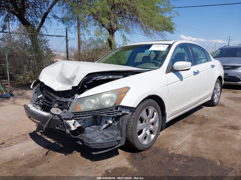 2010 Honda Accord 3.5 Ex-L VIN: 1HGCP3F84AA011958 Lot: 43035216