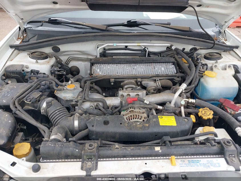 2004 Subaru Forester 2.5Xt VIN: JF1SG69654H734161 Lot: 43035636