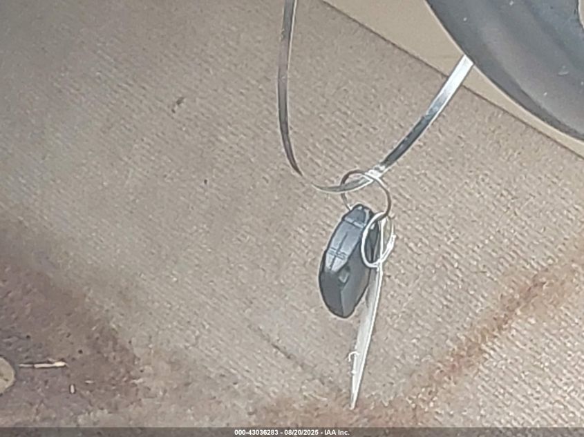 2006 BMW 325I VIN: WBAVB13566KX44600 Lot: 43036283