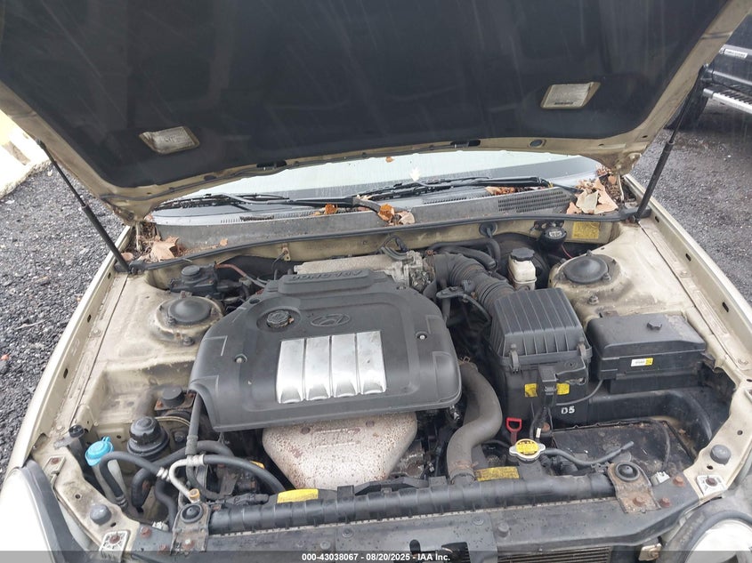 2003 Hyundai Sonata VIN: KMHWF25S63A832192 Lot: 43038067