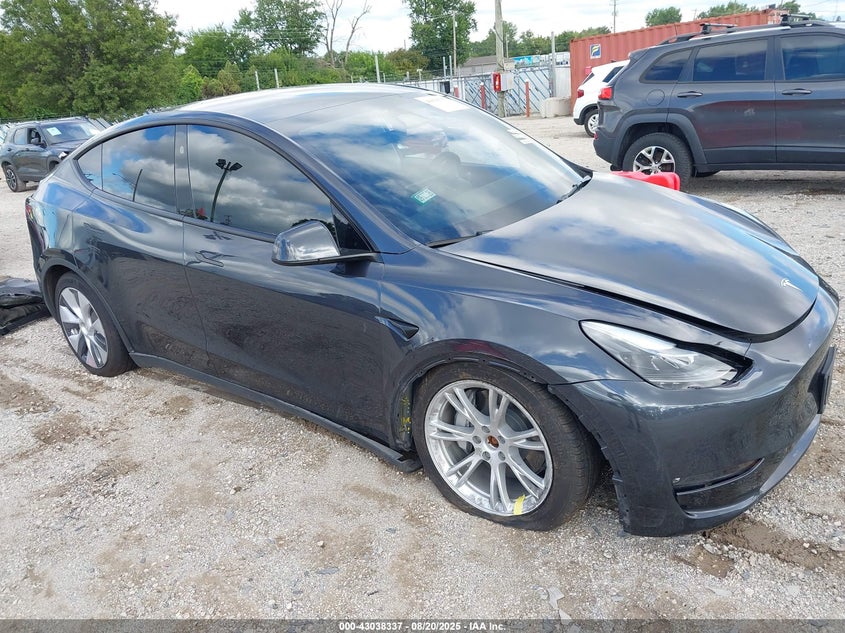 2024 TESLA MODEL Y  (VIN: 7SAYGDEE6RF993466)