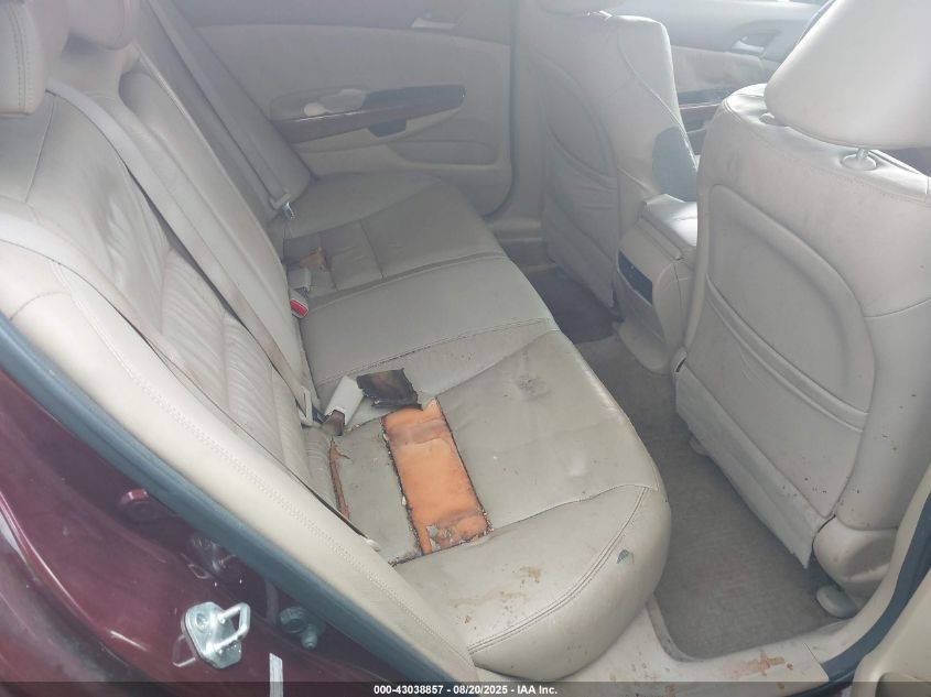 2010 Honda Accord 2.4 Ex-L VIN: 1HGCP2F83AA144656 Lot: 43038857