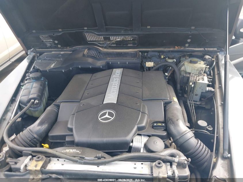 2003 Mercedes-Benz G 500 VIN: WDCYR49E73X141071 Lot: 43039001