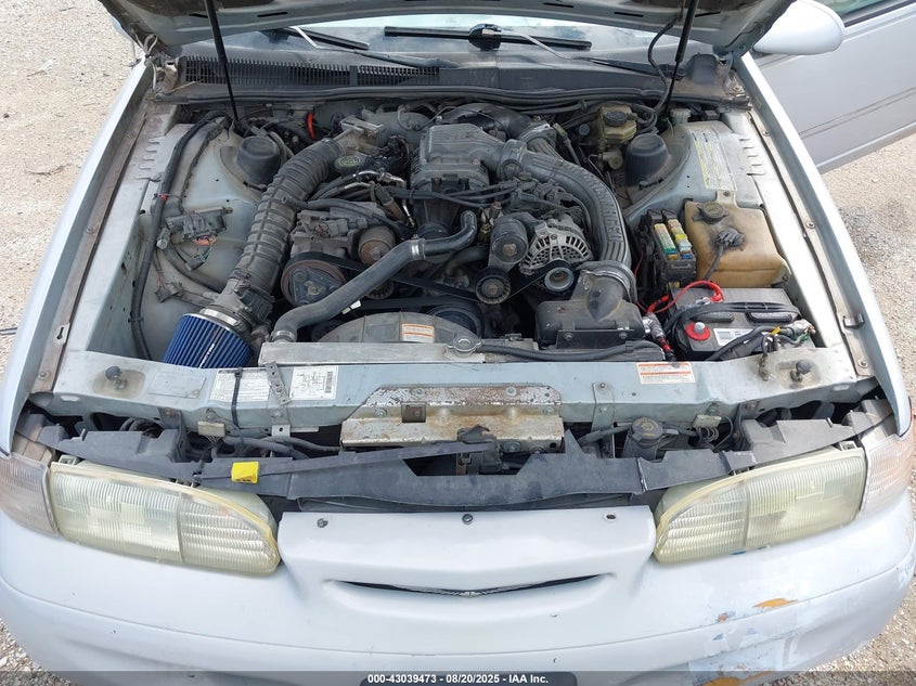 1994 Ford Thunderbird Super Coupe VIN: 1FALP64R8RH171278 Lot: 43039473