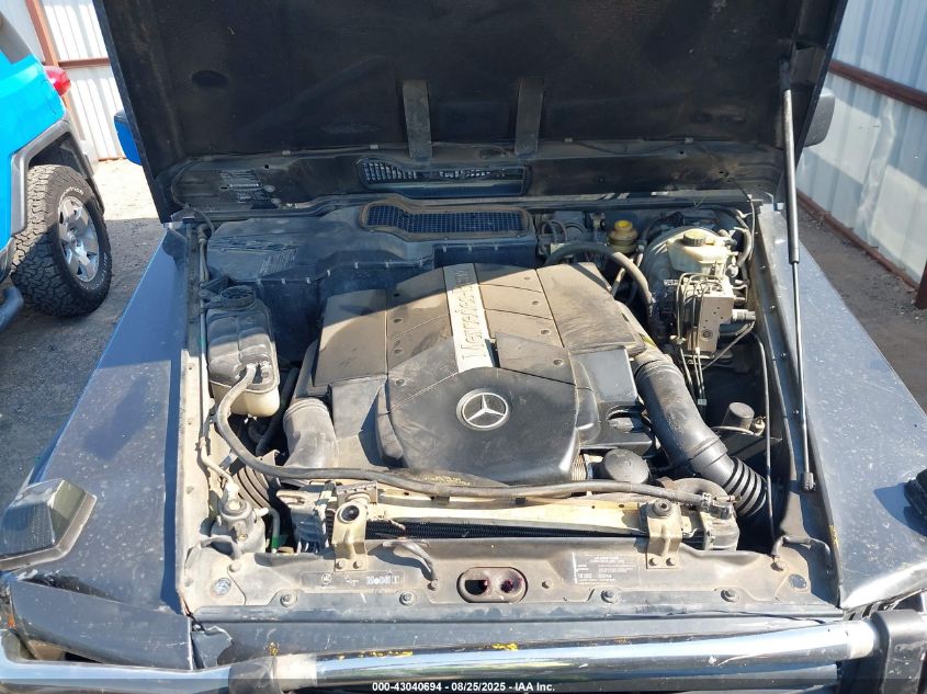 2002 Mercedes-Benz G 500 VIN: WDCYR49E32X128283 Lot: 43040694