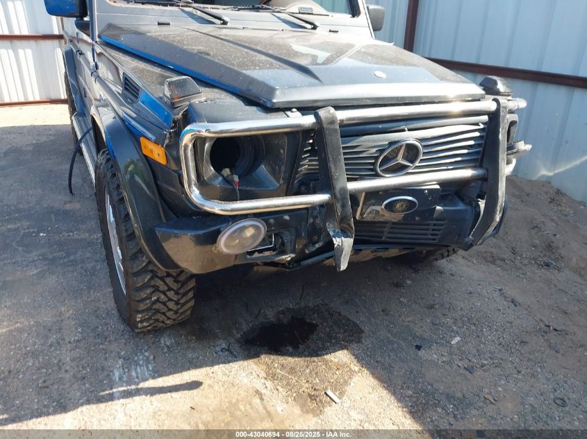 2002 Mercedes-Benz G 500 VIN: WDCYR49E32X128283 Lot: 43040694