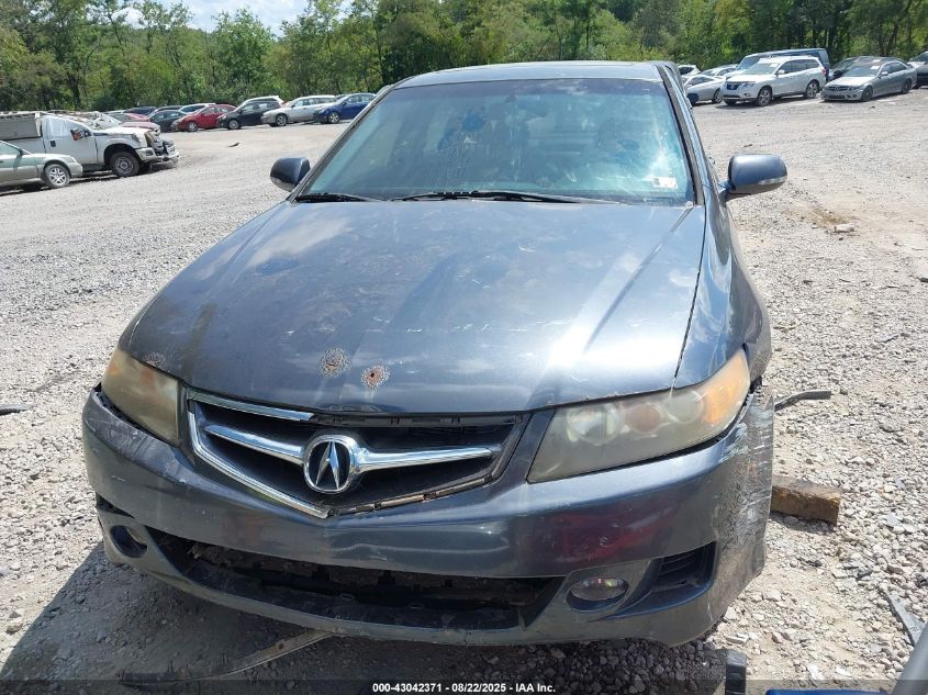 2006 Acura Tsx VIN: JH4CL96826C029673 Lot: 43042371