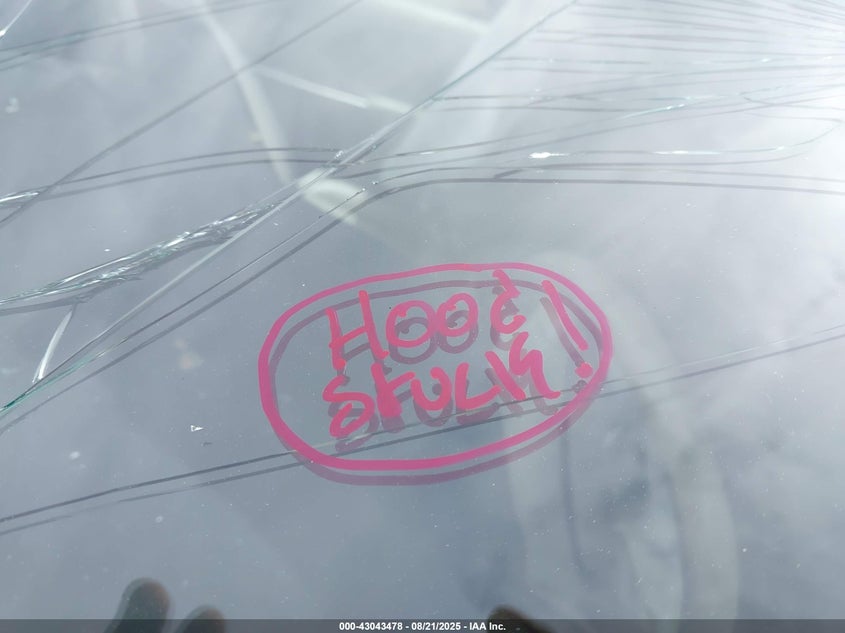 2013 TOYOTA SIENNA XLE V6 8 PASSENGER - 5TDYK3DC0DS342750