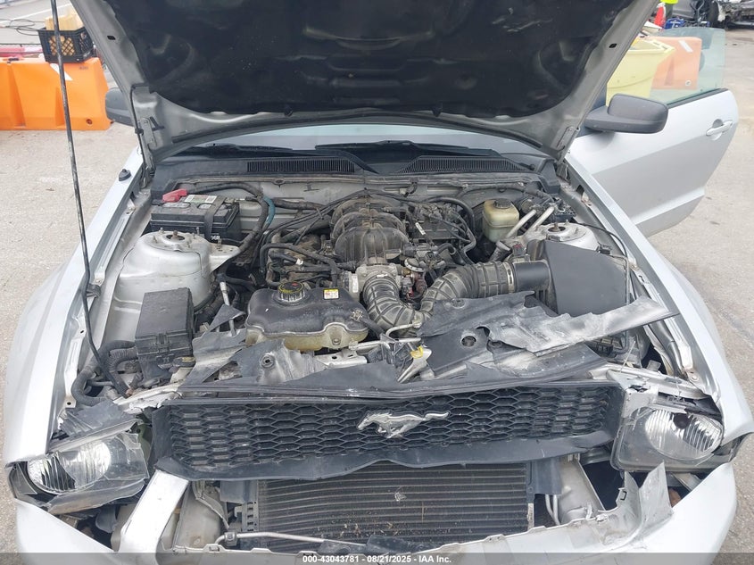 2005 Ford Mustang VIN: 1ZVFT84N855255024 Lot: 43043781