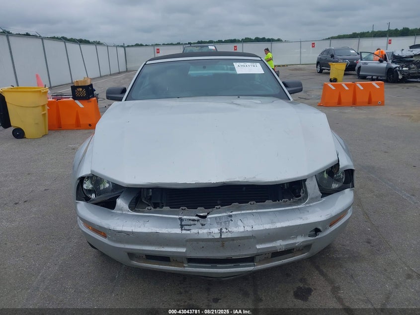 2005 Ford Mustang VIN: 1ZVFT84N855255024 Lot: 43043781