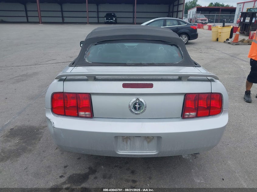 2005 Ford Mustang VIN: 1ZVFT84N855255024 Lot: 43043781