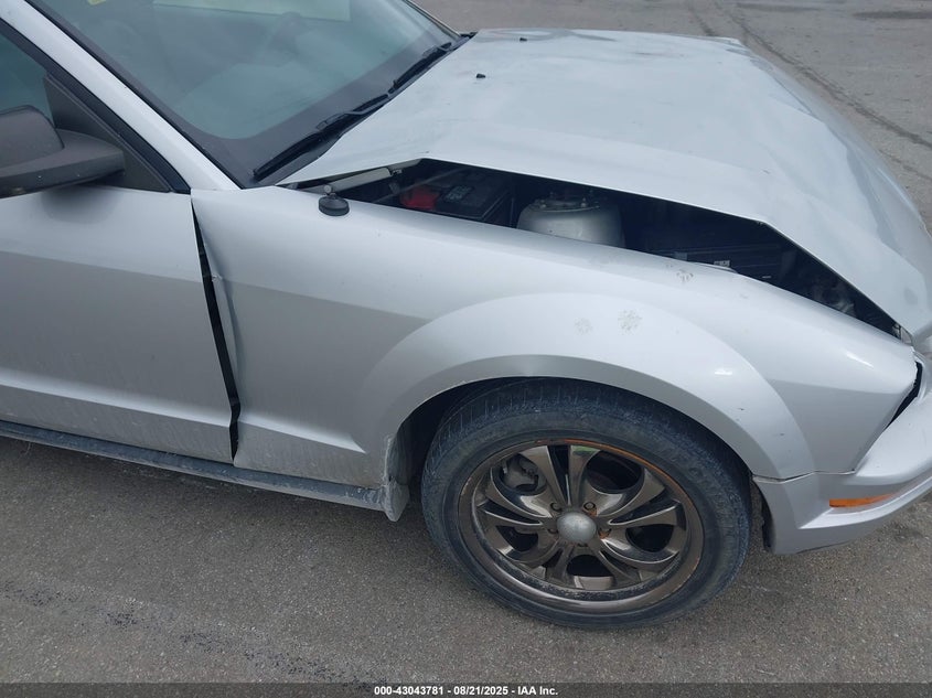 2005 Ford Mustang VIN: 1ZVFT84N855255024 Lot: 43043781