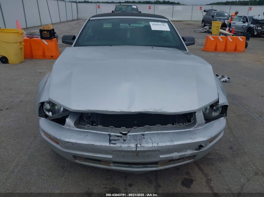 2005 Ford Mustang VIN: 1ZVFT84N855255024 Lot: 43043781