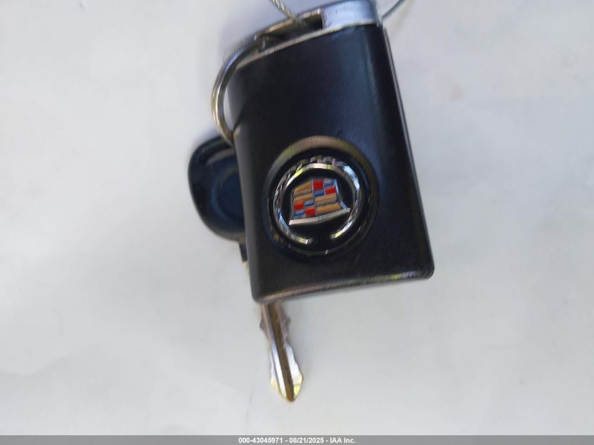 2009 Cadillac Escalade Standard VIN: 1GYFK23259R228592 Lot: 43045971