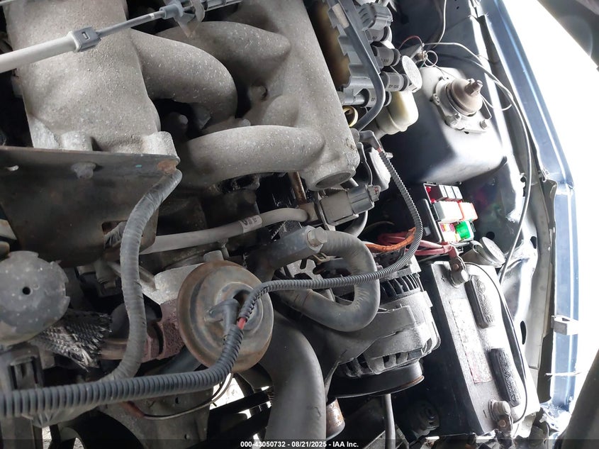 2004 Ford Mustang VIN: 1FAFP40654F182403 Lot: 43050732