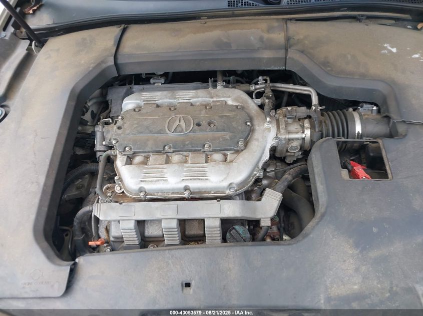 2009 Acura Tl 3.5 VIN: 19UUA86219A015833 Lot: 43053579