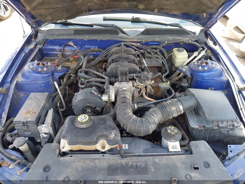 2005 Ford Mustang V6 Deluxe/V6 Premium VIN: 1ZVFT80N355125223 Lot: 43054913