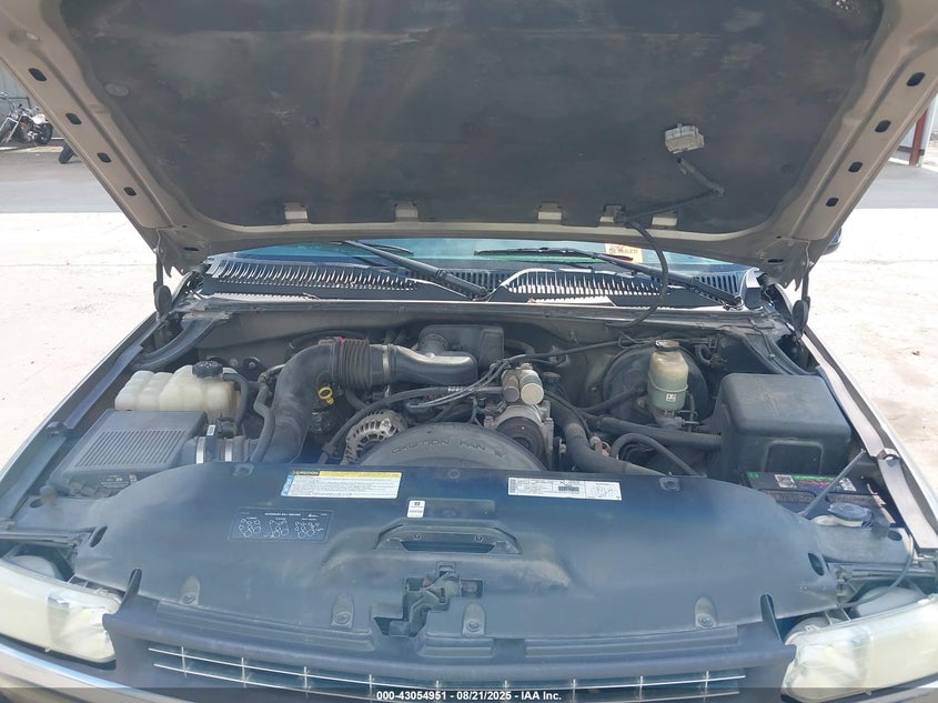 1999 Chevrolet Silverado 1500 Ls VIN: 1GCEC14W3XZ139918 Lot: 43054951