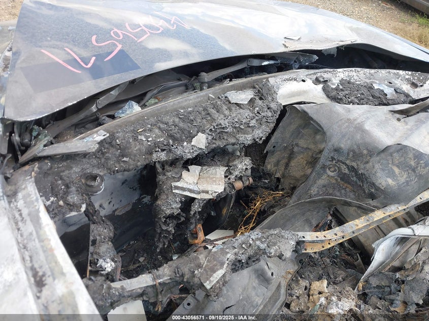 2024 Tesla Model 3 Long Range Dual Motor All-Wheel Drive/Rear-Wheel Drive VIN: 5YJ3E1EA8RF869658 Lot: 43056571