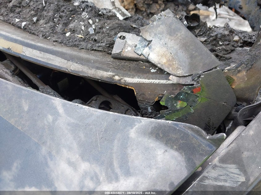 2024 Tesla Model 3 Long Range Dual Motor All-Wheel Drive/Rear-Wheel Drive VIN: 5YJ3E1EA8RF869658 Lot: 43056571