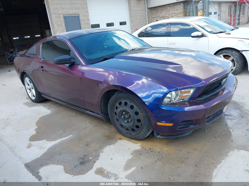 1ZVBP8AN6A5150788 2010 Ford Mustang V6/V6 Premium auction photo 1