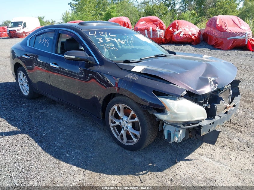 NISSAN MAXIMA 3.5 SV